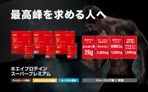 本物販売中 DNSプロテイン SPヨーグルト＆プレミアムチョコ、イチゴ