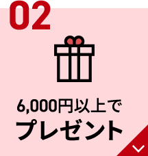 02 6000円以上でプレゼント