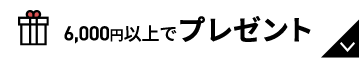 6000円以上のおすすめ商品