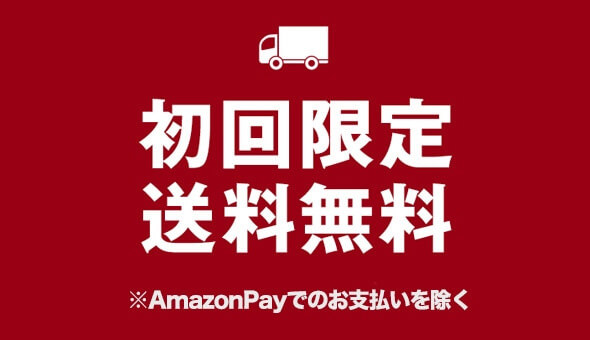 初回限定送料無料