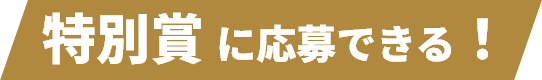 特別賞に応募できる！