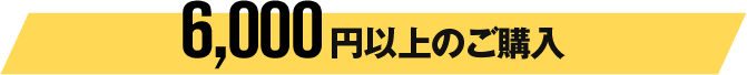 6,000円以上のご購入