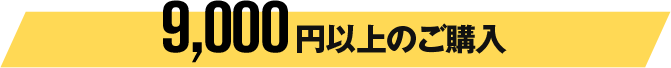 9,000円以上のご購入